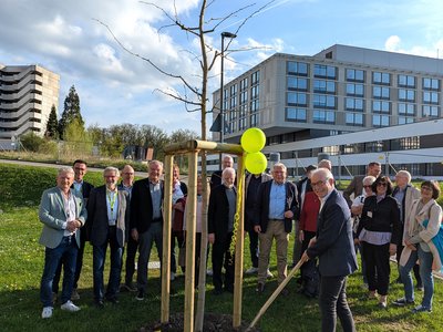 Mitglieder des Vereins pflanzen Ginko Baum vor ALB FILS KLINIKUM 